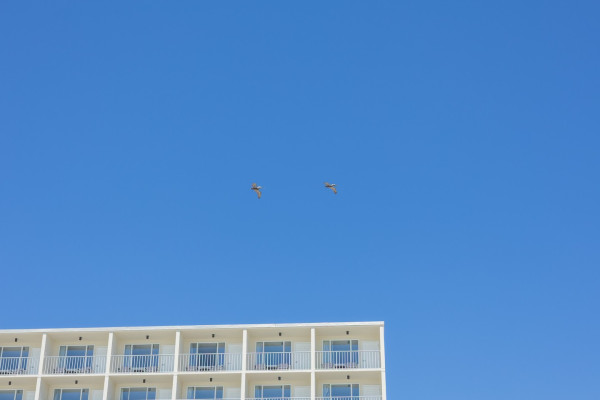 Beachside Resort Panama City Beach — photo 27 of 29